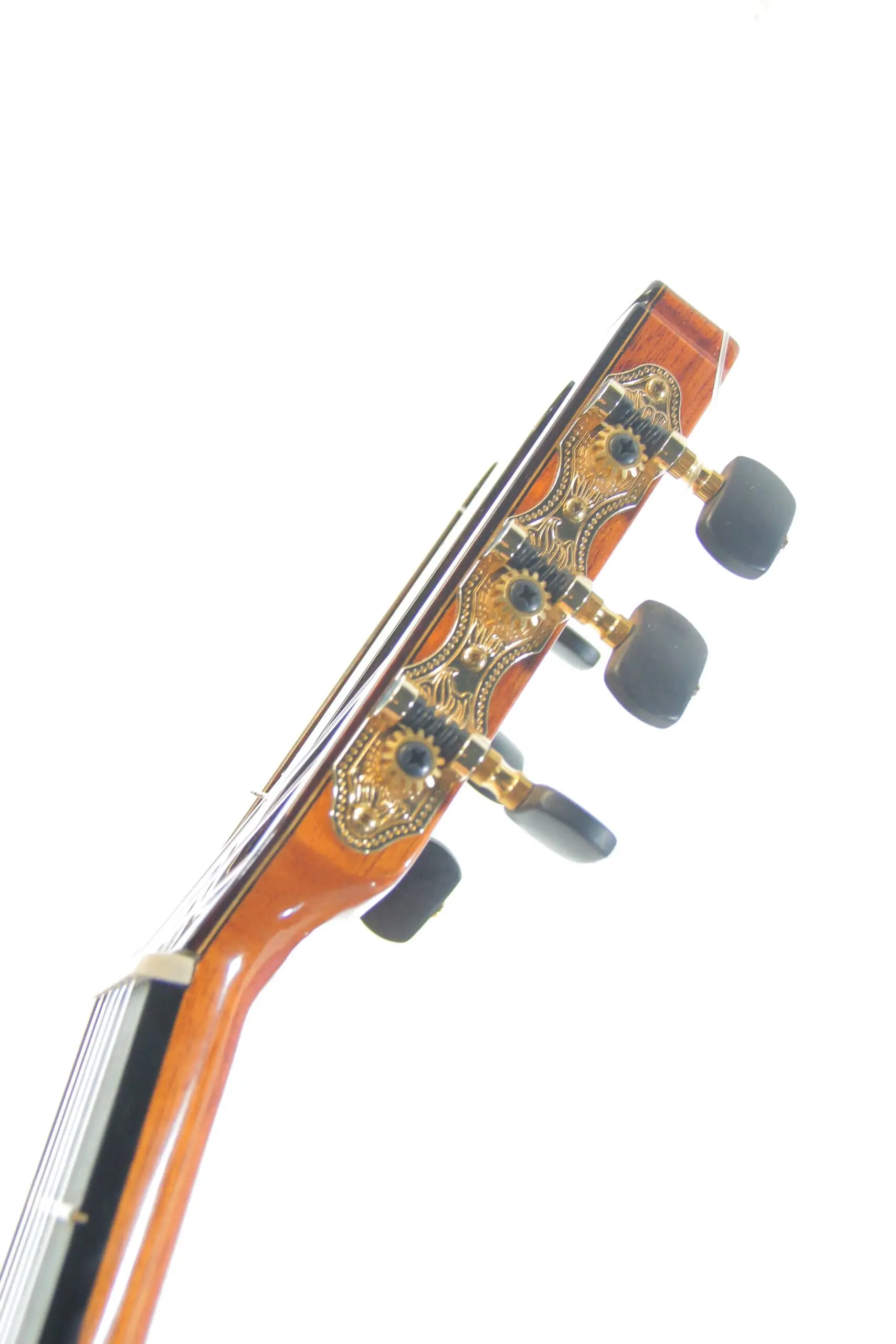 Antonio Sanchez Fcwe &Quot;Gypsy Kings&Quot;