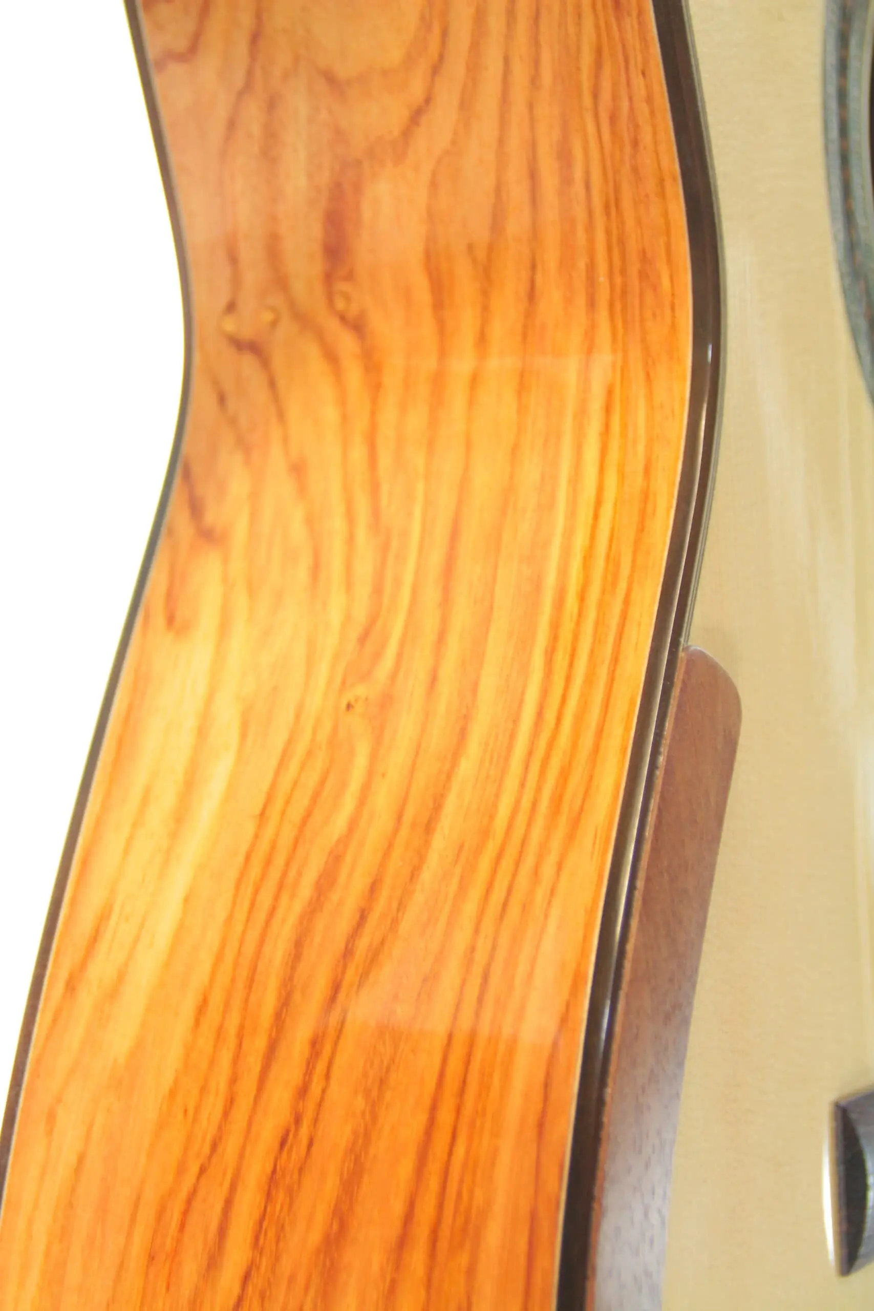 Gerardo Escobedo 2022