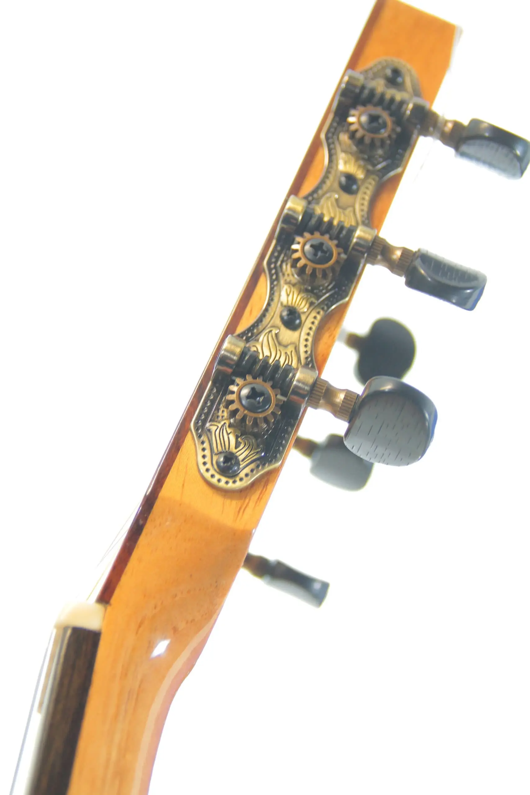 Gerardo Escobedo 2022