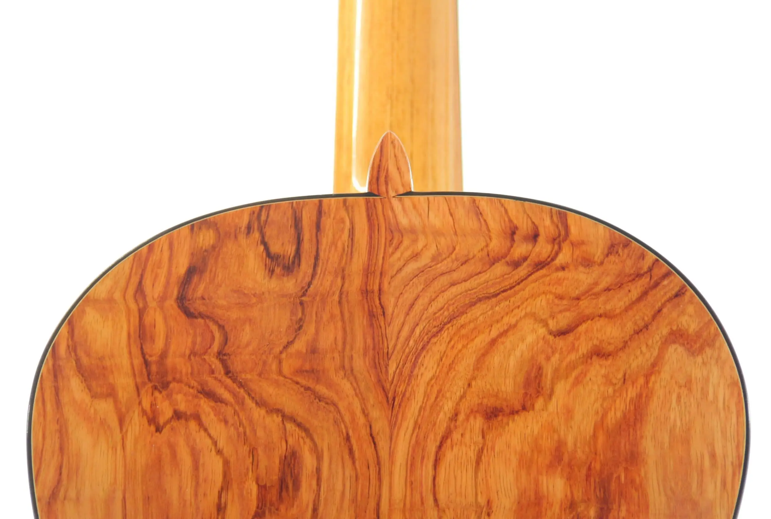 Gerardo Escobedo 2022