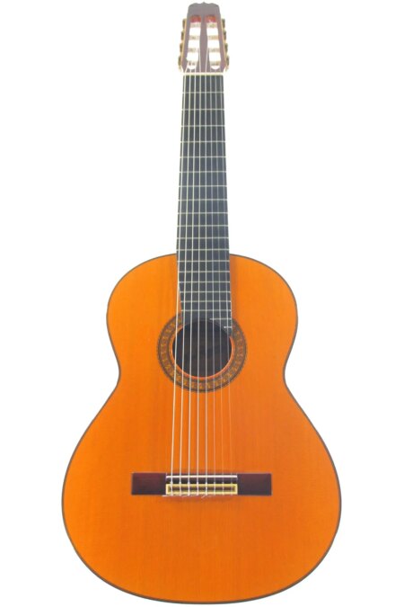 Jose Ramirez 1a 8-string 1991