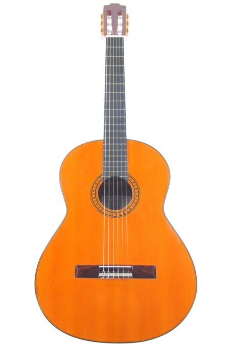 The Eduardo Ferrer 1971 Classical Guitar has a light wood body, dark fingerboard, six strings, and a decorative rosette around the sound hole, all showcased against a white background.