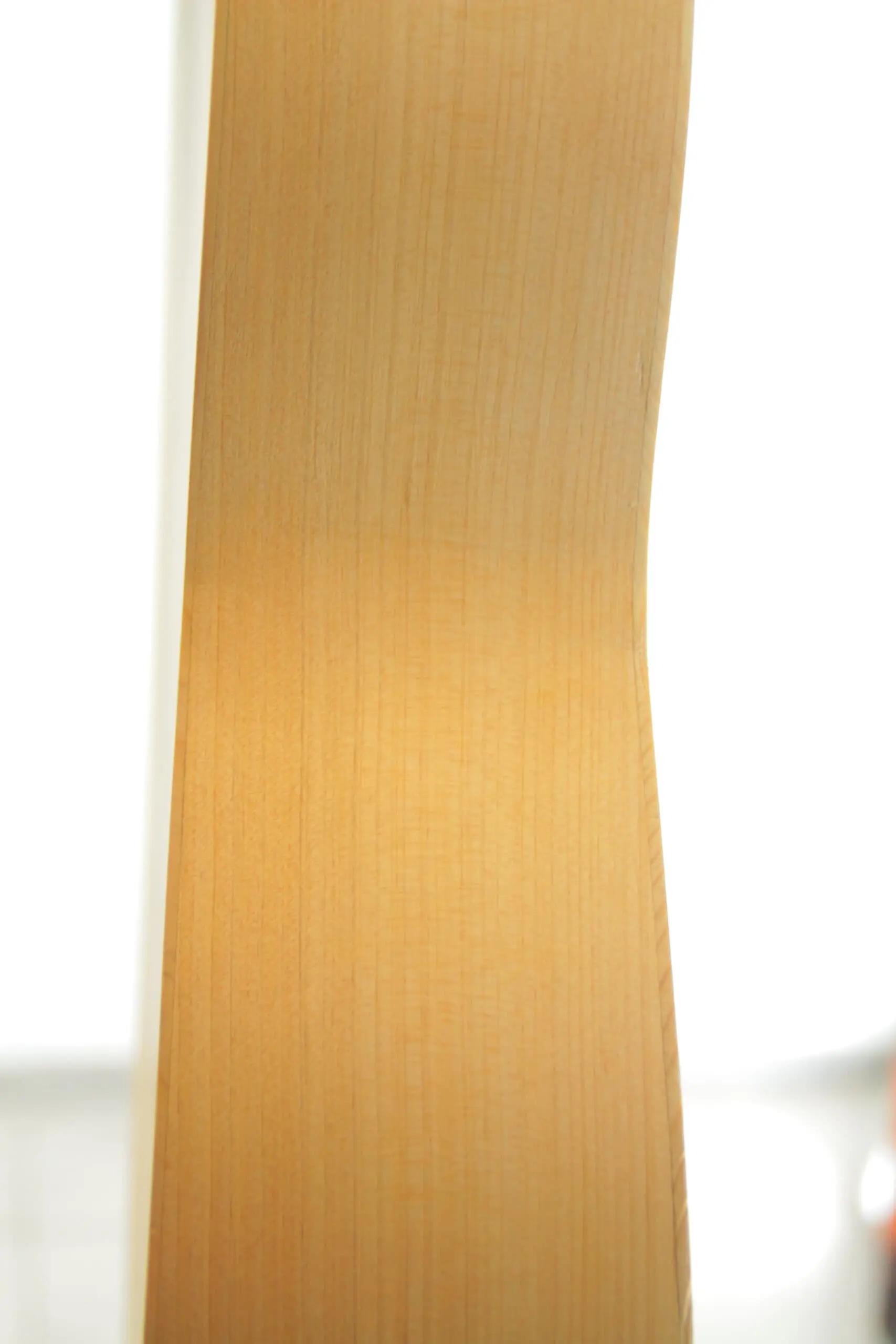 Luis Milan Vihuela In E 1535/36