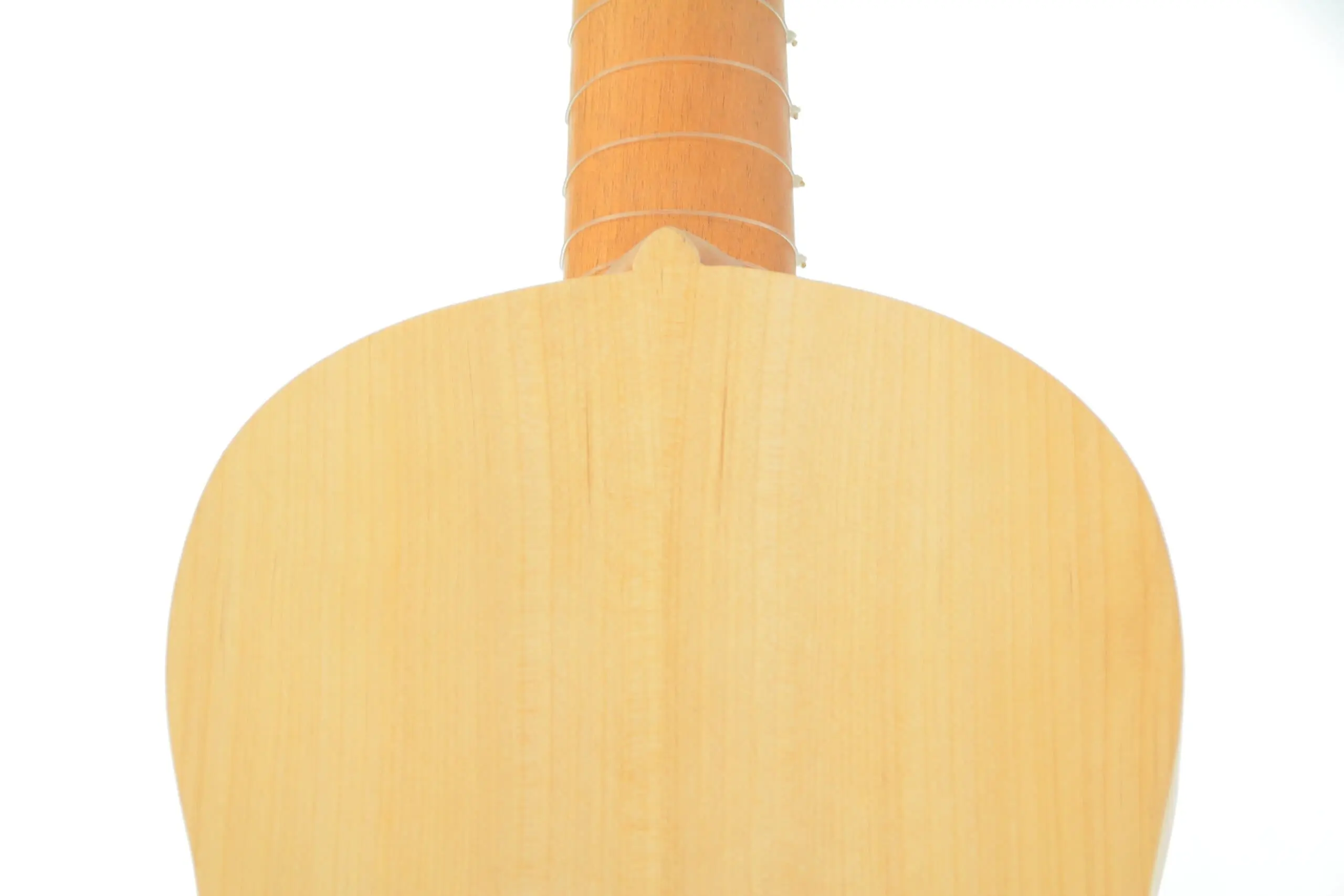 Luis Milan Vihuela In E 1535/36