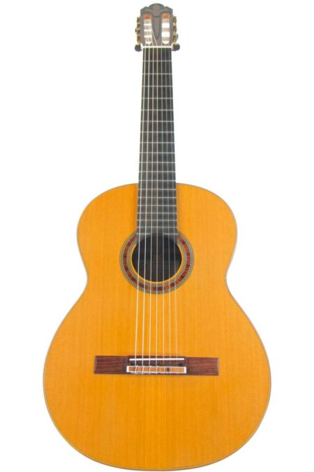 Frank-Peter Dietrich "Tosca" 2007 7-string