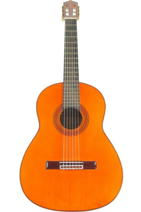 Alfonso Checa 1977 Flamenco