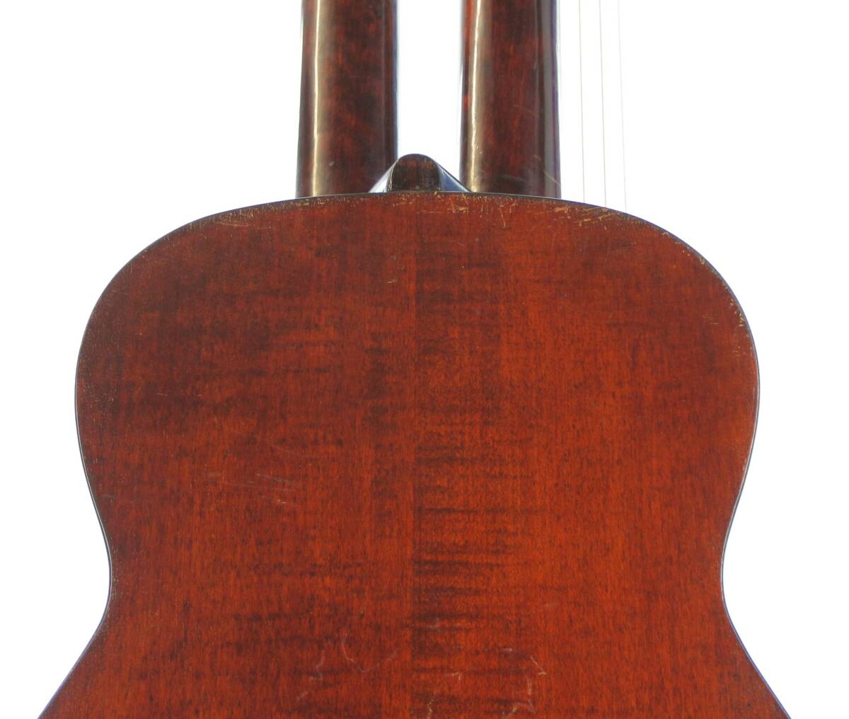 Vienna Style Contra Guitar