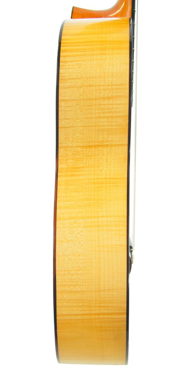 Dane Matthew Hancock &Quot;Torres&Quot; 2005 – Bild 6