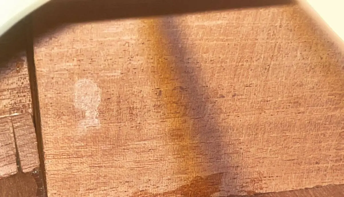 Kalamazoo (Gibson) Kg-14 1937 “Robert Johnson”