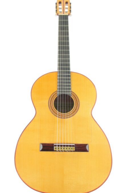 Pedro Fernández Luque 2006