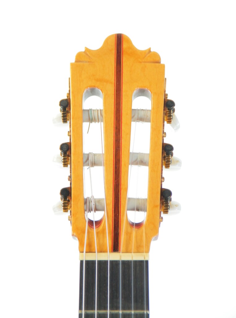 Pedro Fernández Luque 2006