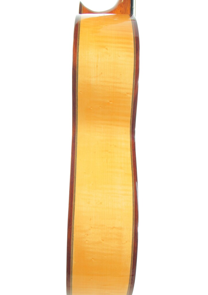 Pedro Fernández Luque 2006