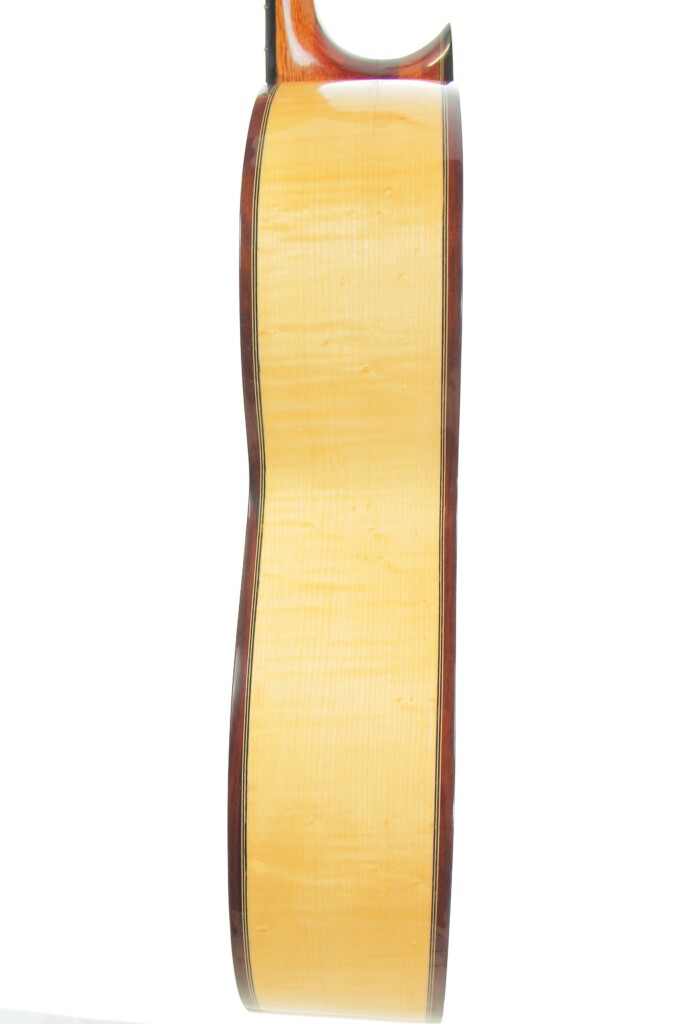 Pedro Fernández Luque 2006