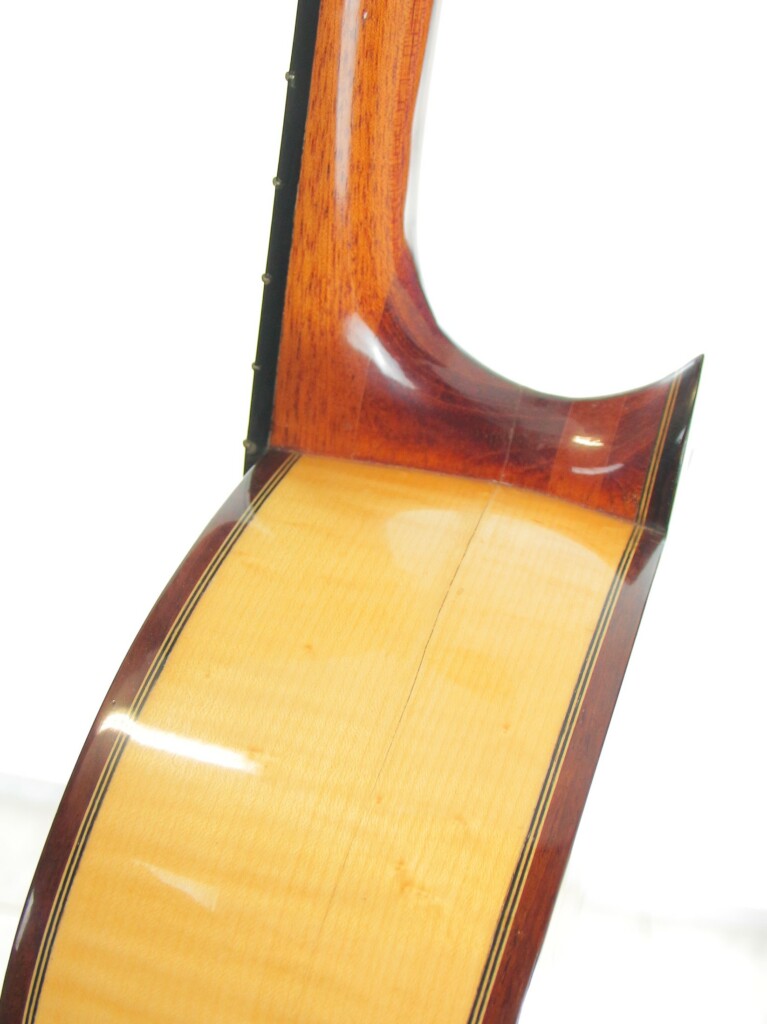 Pedro Fernández Luque 2006