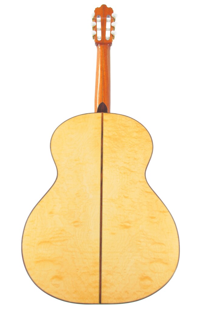 Pedro Fernández Luque 2006