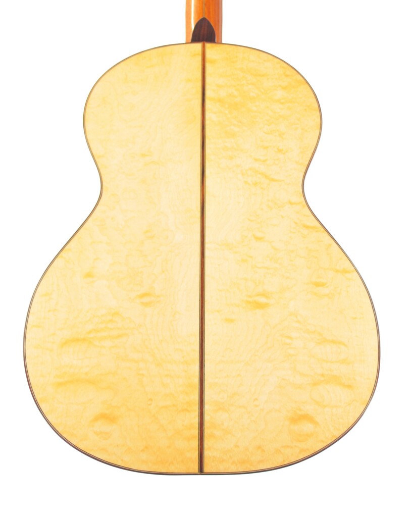 Pedro Fernández Luque 2006