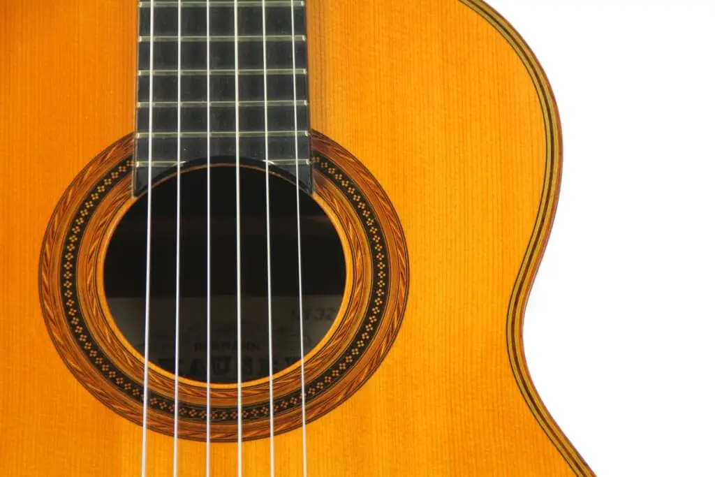 Hermann Hauser Iii 1993