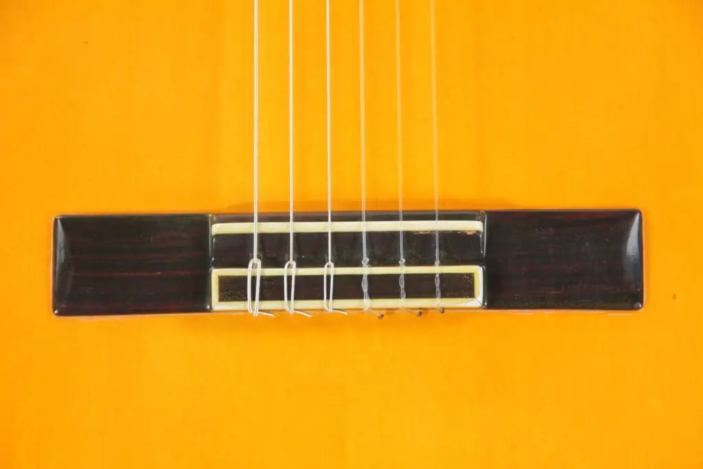 Tomas Leal &Quot;Negra&Quot;