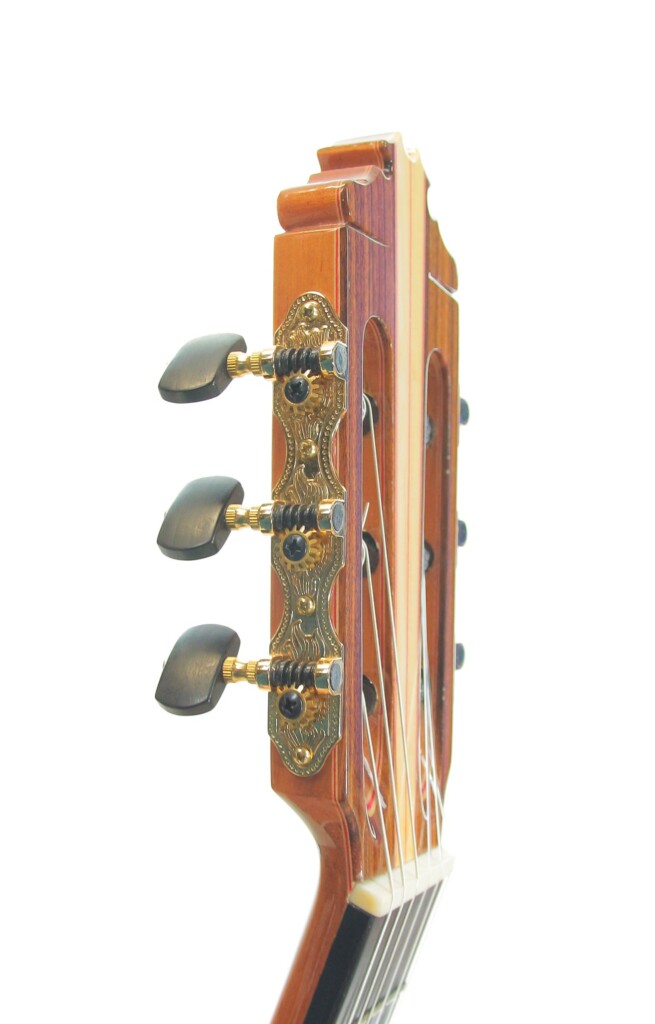 Manuel Guillena 2019