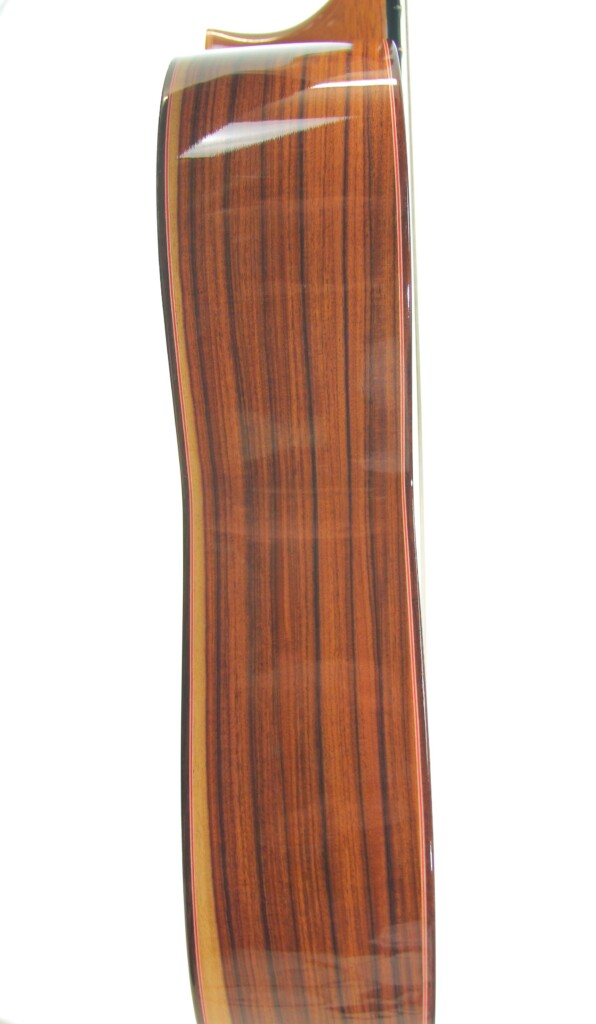 Manuel Guillena 2019