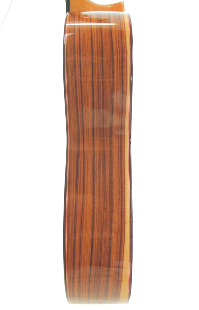 Manuel Guillena 2019