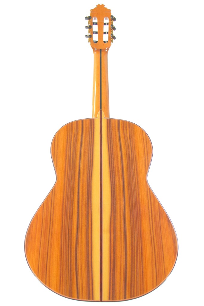 Manuel Guillena 2019