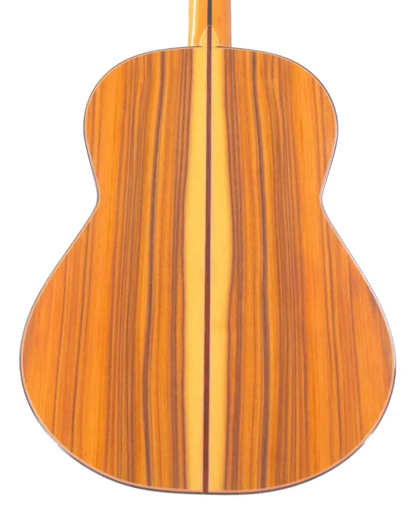 Manuel Guillena 2019