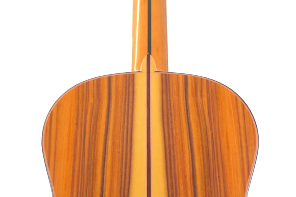 Manuel Guillena 2019