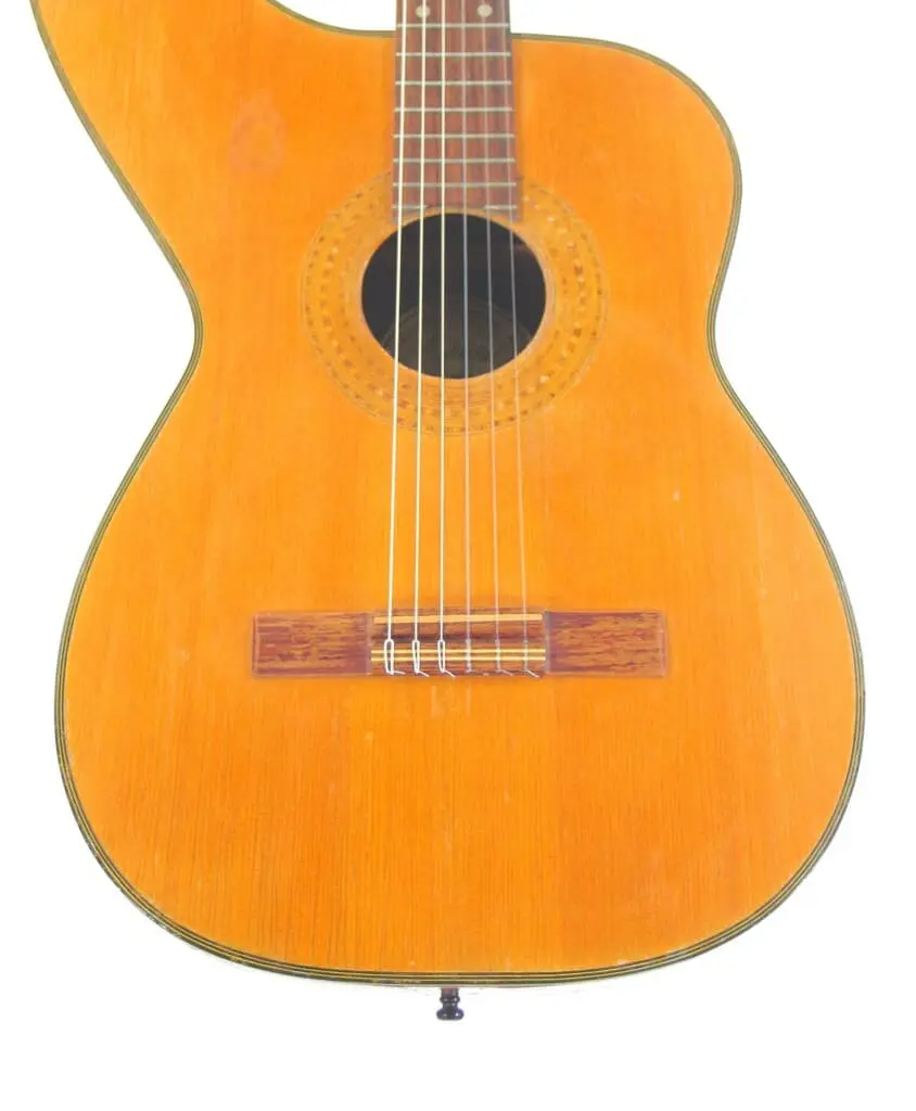 Espana Harp Guitar 1960'S