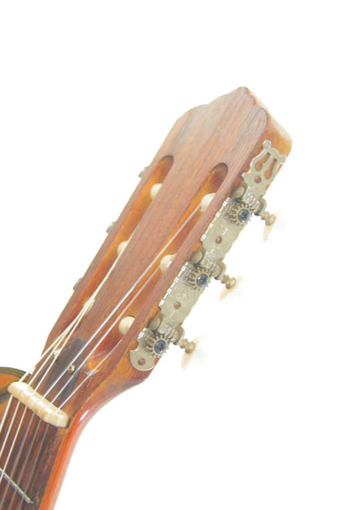 Espana Harp Guitar 1960'S