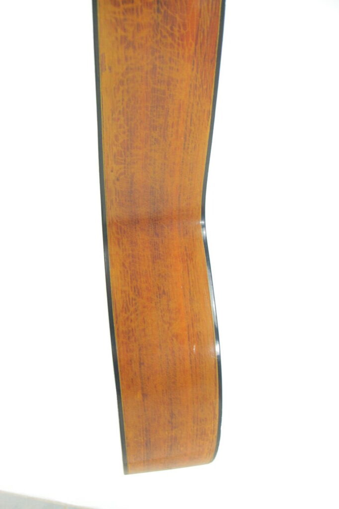 Espana Harp Guitar 1960'S