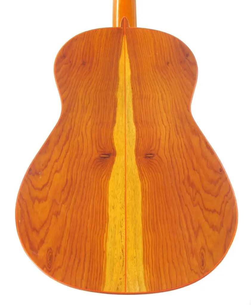 Gerardo Escobedo 2018