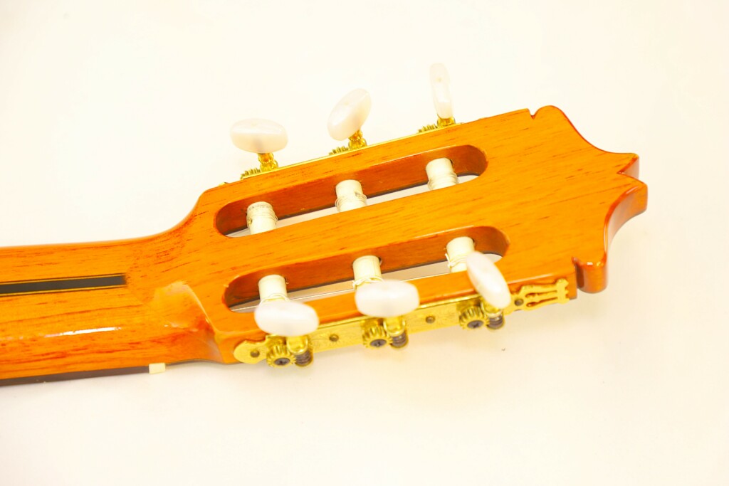 Luis Arostegui Granados 1981