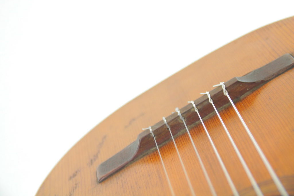 Ignacio Martorell Casasnovas 1892