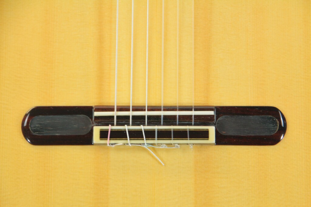 Yulong Guo 2020 Double Top Chamber Concert