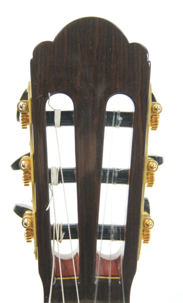 Yulong Guo 2020 Double Top Chamber Concert