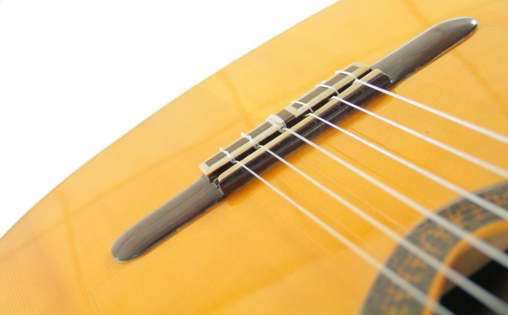 Luis Sanchez Rodriguez 2009 “Negra”