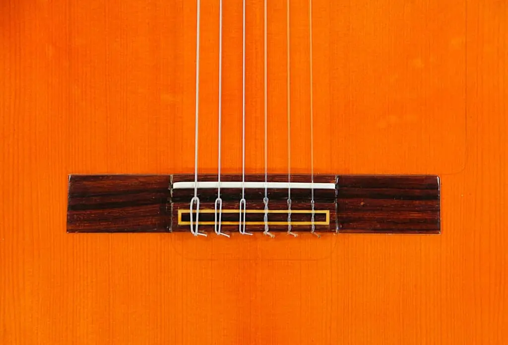 Pedro Maldonado 2019 &Quot;Negra&Quot;