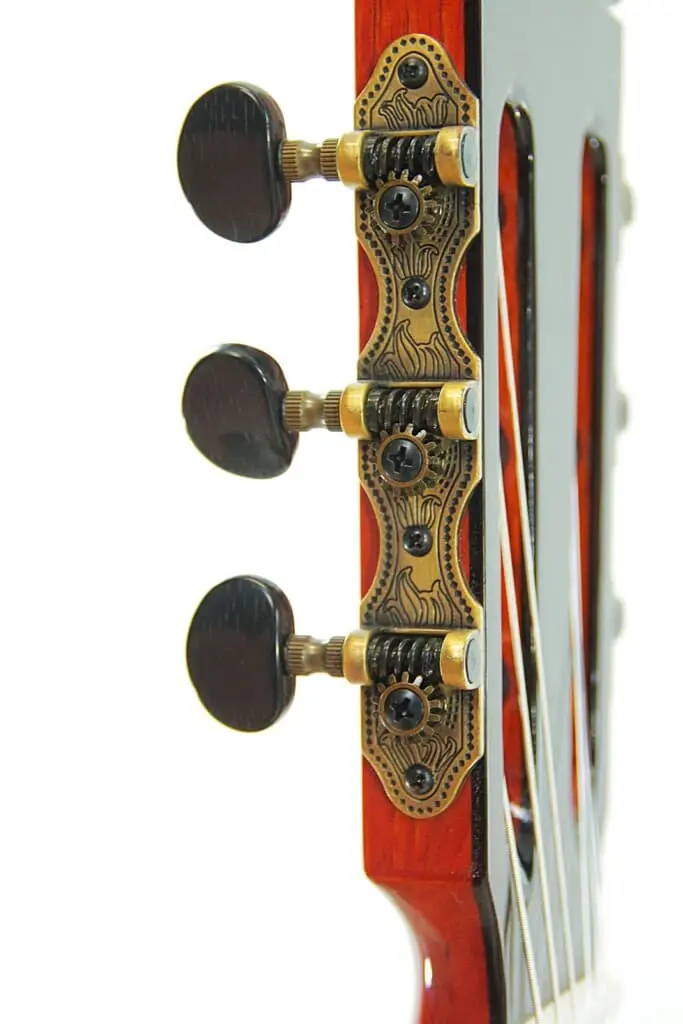 Pedro Maldonado 2019 &Quot;Negra&Quot;