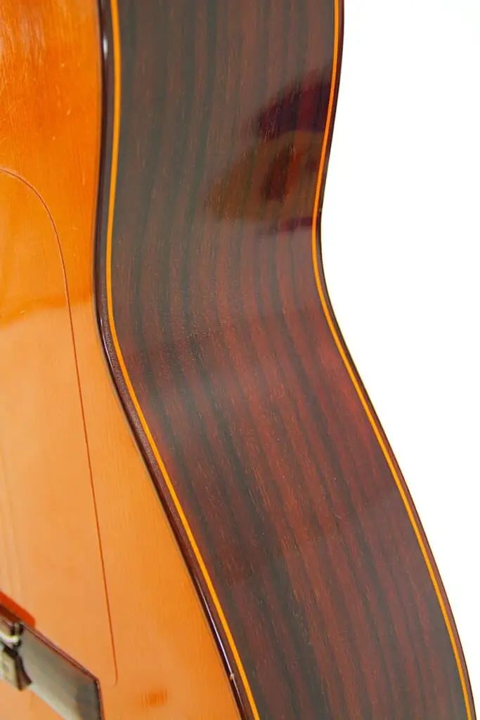 Pedro Maldonado 2019 &Quot;Negra&Quot;