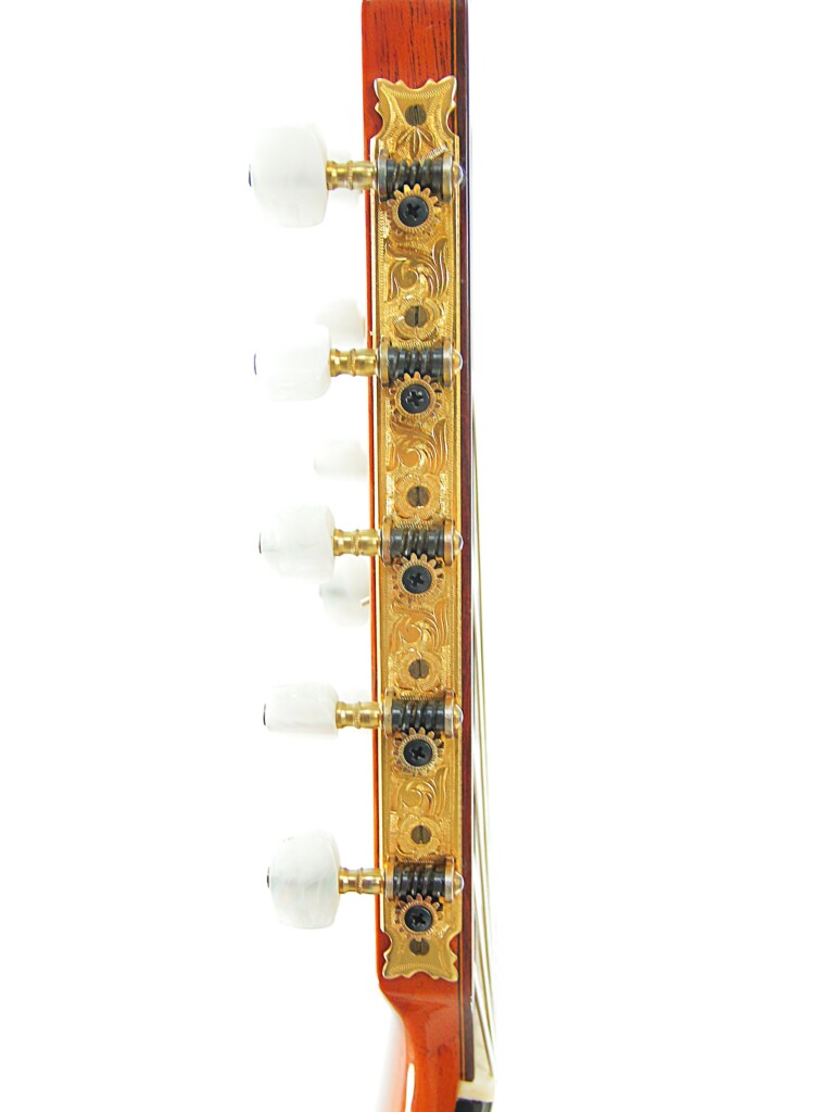 Jose Ramirez 10-String 1982