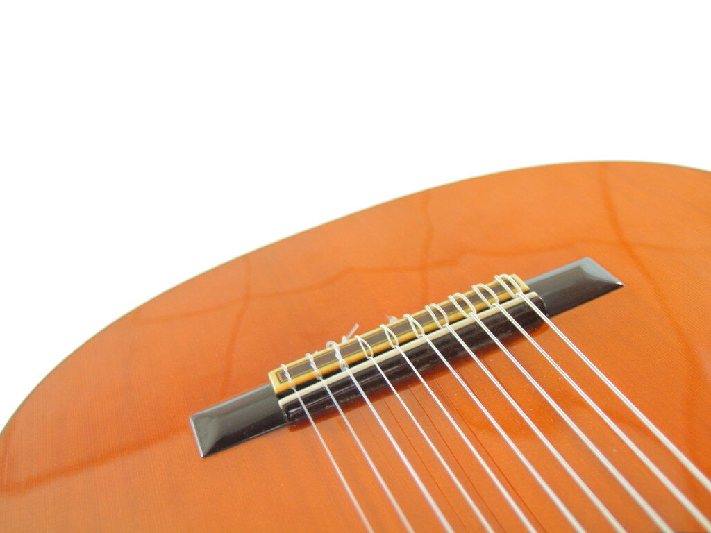 Jose Ramirez 10-String 1982