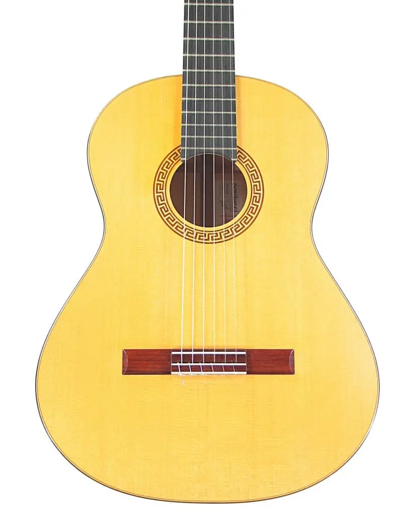 Alexis Parducci 2010