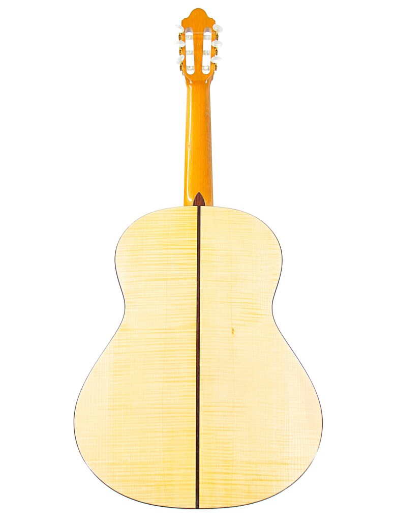 Alexis Parducci 2010