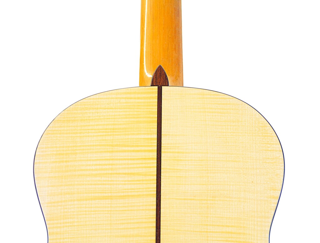 Alexis Parducci 2010