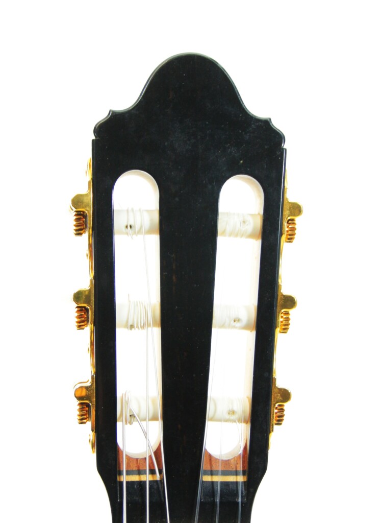 Alexis Parducci 2010