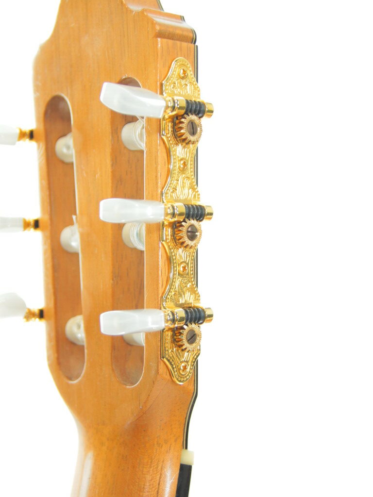 Alexis Parducci 2010