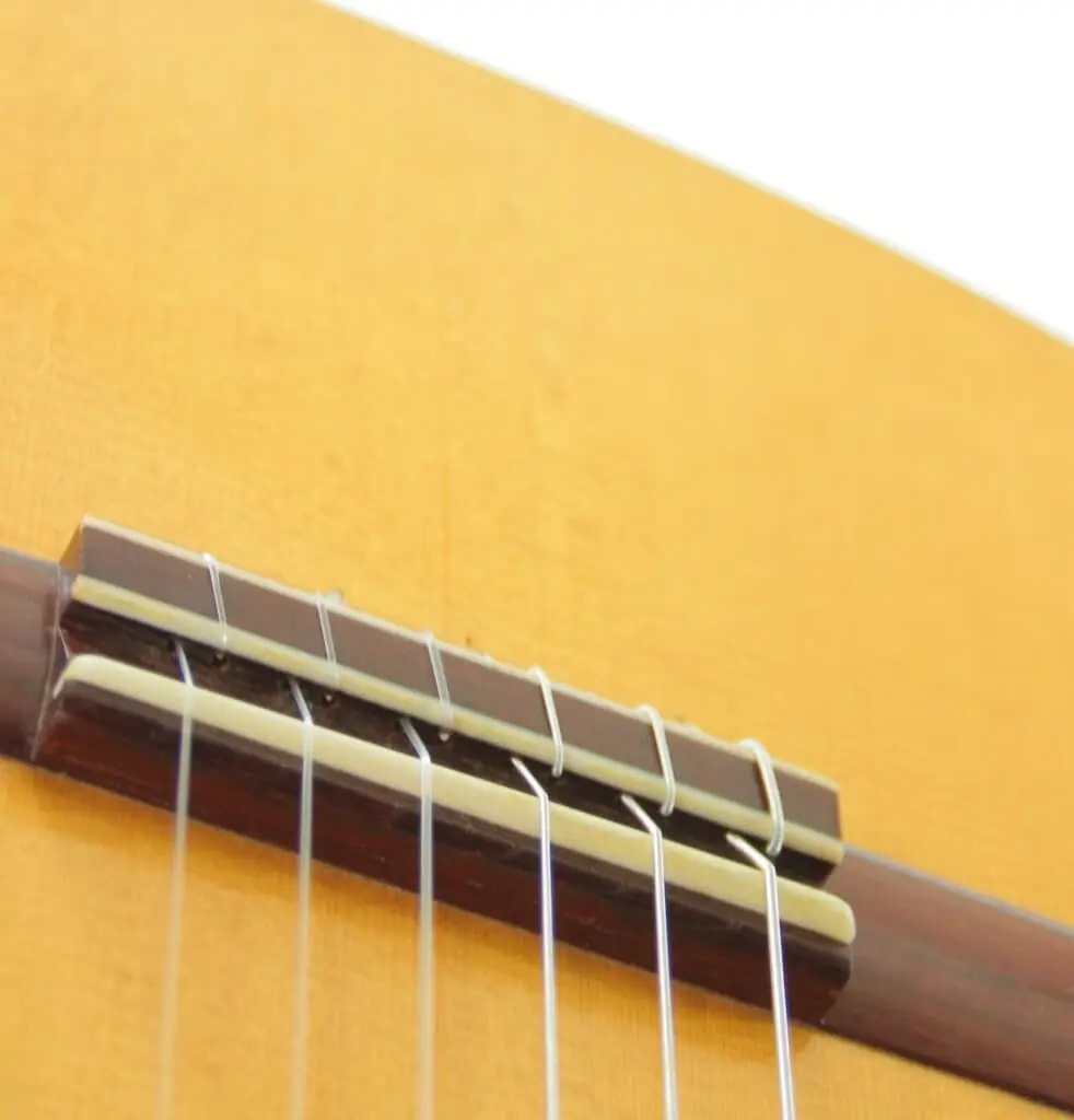 Alexis Parducci 2010