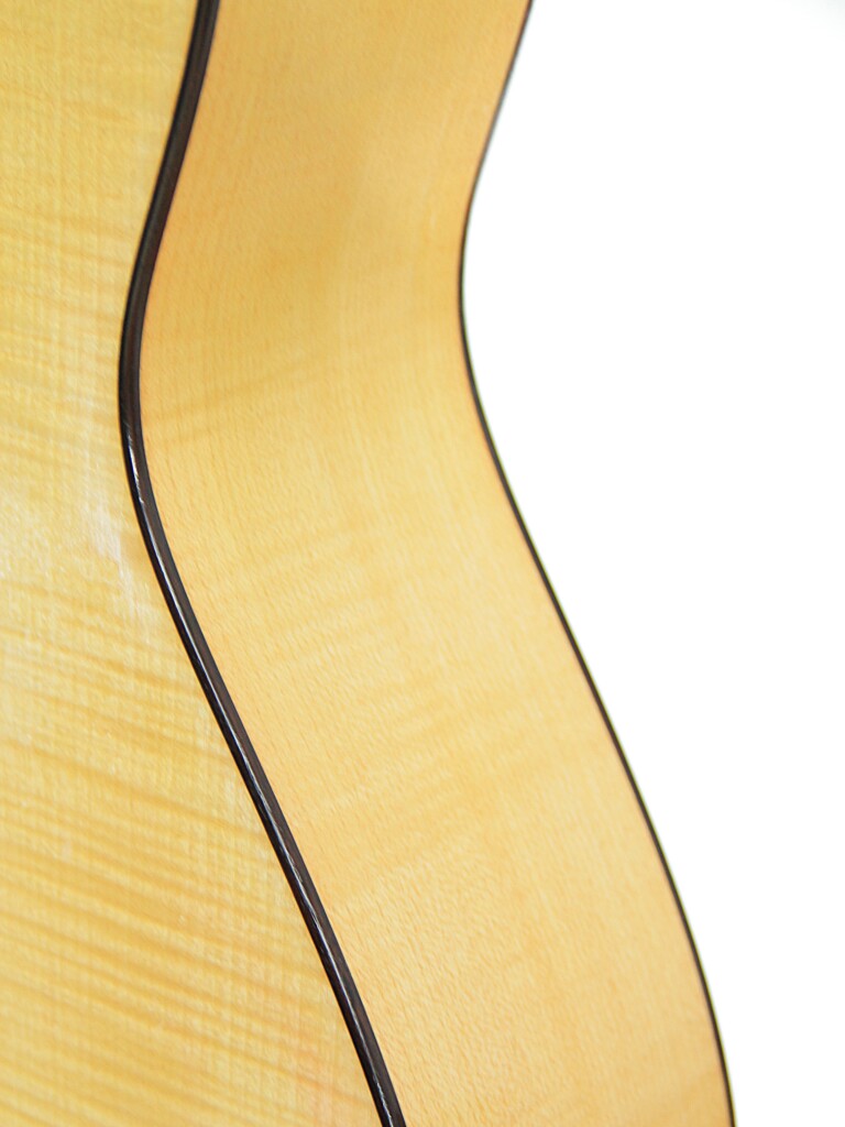 Alexis Parducci 2010