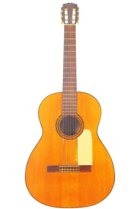 The Casa Gonzalez Flamenco Guitar features six strings, a wooden body, and a light-colored pickguard, shown against a white background.